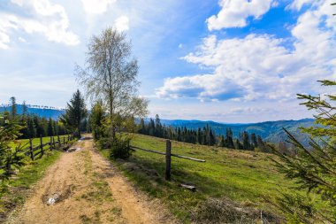 Patikadan aşağı Silezya Beskid dağlarda