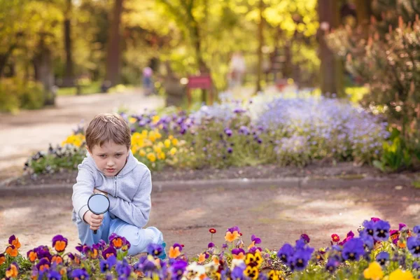 Niño de 7 años mira las flores de colores — Foto de Stock