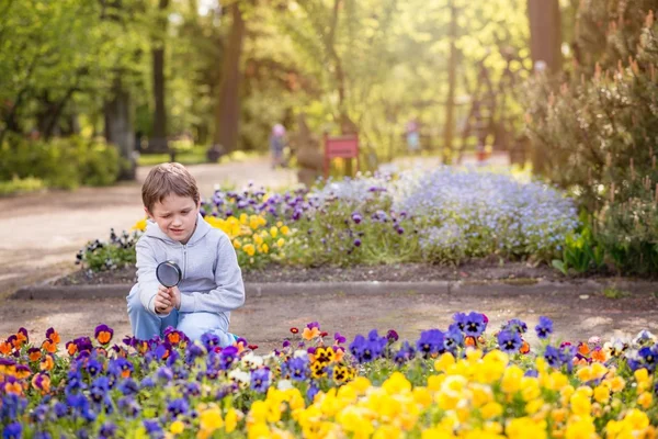 7 yaşındaki çocuk renkli çiçeklere görünüyor — Stok fotoğraf