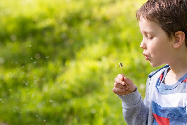 Children's Day. Sweet little boy blowing dandelion