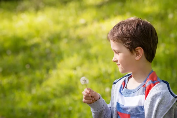 Children's Day. Sweet little boy blowing dandelion — Stock Photo, Image