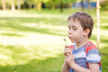 Tatlı küçük çocuk bir karahindiba üfleme