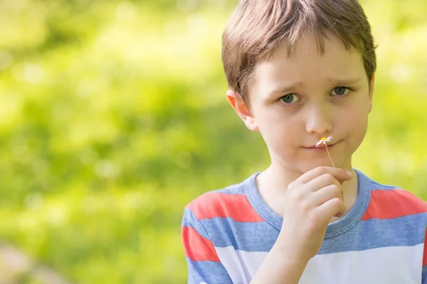 Милый мальчик, нюхающий маргаритку. — стоковое фото