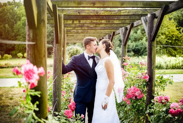 美しいピンクのバラの横にある公園 rosarium の新婚夫婦 — ストック写真