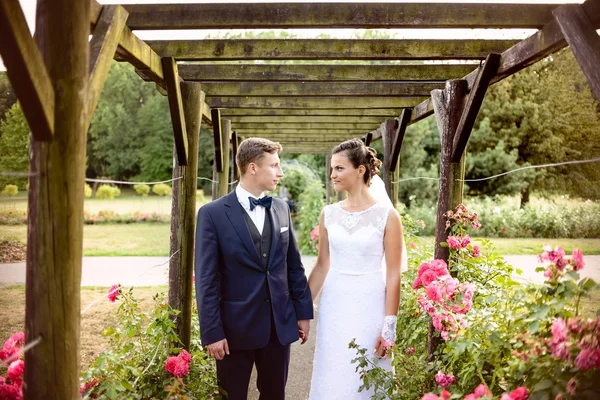 Jeunes mariés dans le parc rosarium à côté de belles roses roses — Photo