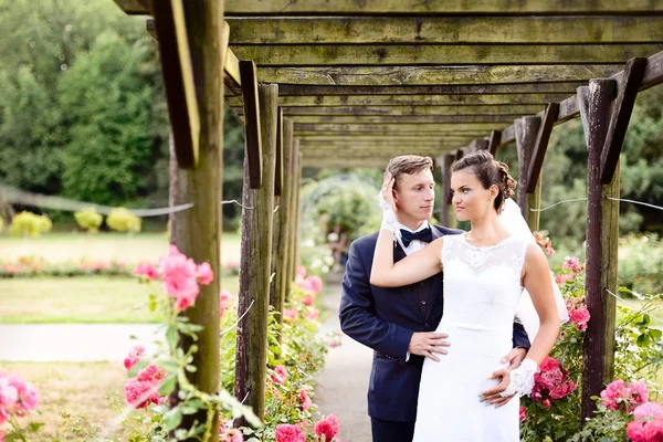 Yeni evliler park gül yanındaki güzel pembe güller içinde