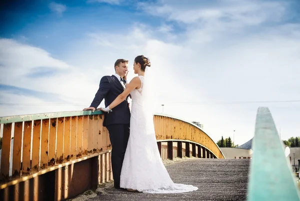 Happy newlyweds on the bridge in park — Stock Photo, Image
