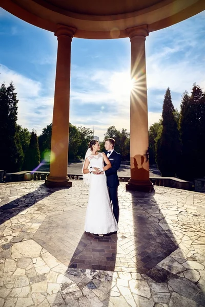 Yeni evli güneşli gün parkta poz — Stok fotoğraf