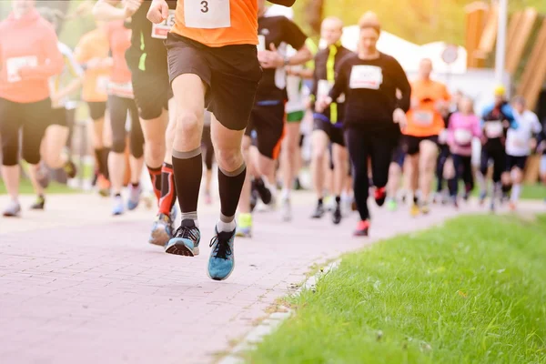 Corrida de verão no parque — Fotografia de Stock