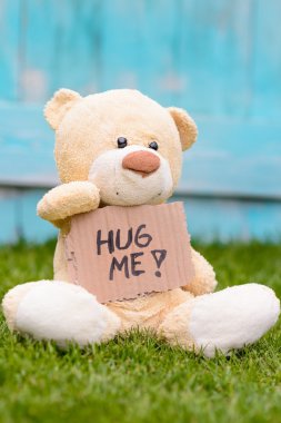 Teddy ayı bilgi ile karton tutan bana sarılmak