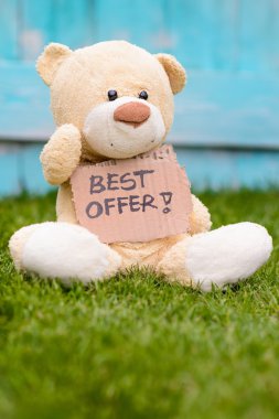 Teddy ayı bilgi en iyi teklif ile karton tutan