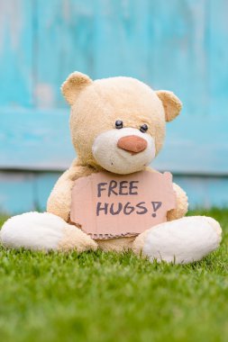 Teddy ayı bilgi Free Hugs ile karton tutan