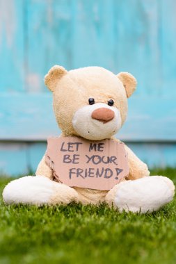 Teddy ayı bilgi ile karton tutan Let Me be Your Friend