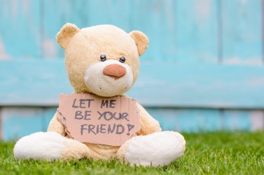Teddy ayı bilgi ile karton tutan Let Me be Your Friend