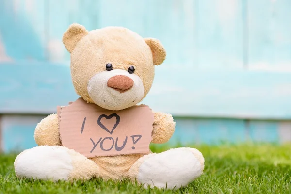 Teddy bear holding cardboard with information I love you — Stock Photo, Image