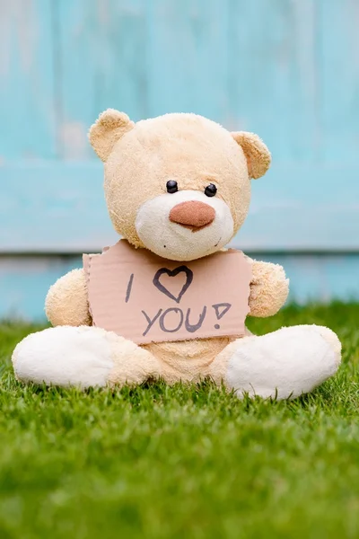 Nallebjörn håller kartong med information jag älskar dig — Stockfoto