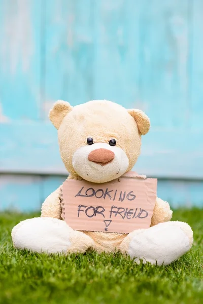 Nallebjörn håller kartong med information som söker vän — Stockfoto