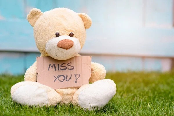 Teddy urso segurando papelão com informações Miss You — Fotografia de Stock