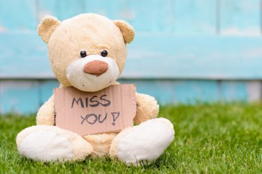 Teddy ayı bilgi Miss You ile karton tutan