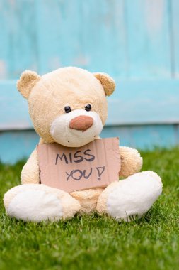 Teddy ayı bilgi Miss You ile karton tutan