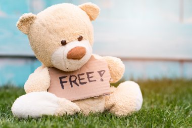 Teddy ayı bilgi ile bir karton tutan - Ücretsiz !