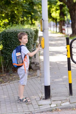 Little 7 years schoolboy pressing a button on traffic lights clipart