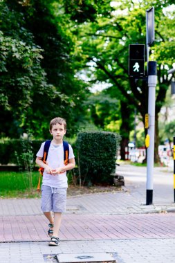 Little 7 years schoolboy crossing road on green light clipart