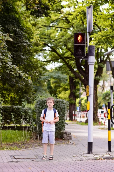 Várakozás a zöld fény kis 7 év iskolás — Stock Fotó