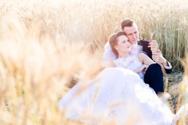 Taze gelin ve damat buğday alanında poz Çar.