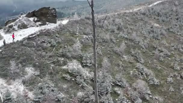 İHA 'nın görüntüsü kırmızı kazaklı bir kadın koşucuyu eğitim için dağ yolunda koşarken gösteriyor.. — Stok video