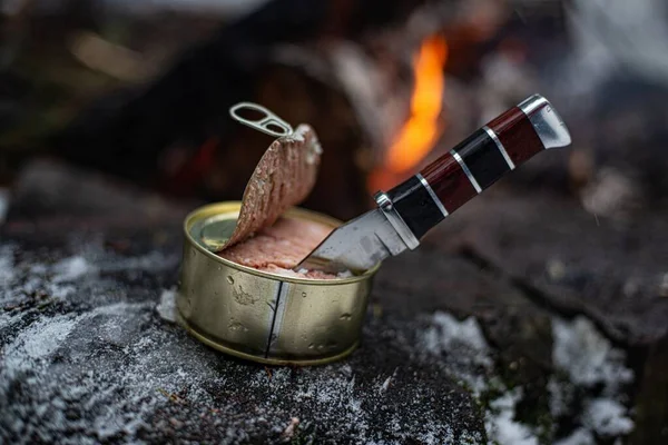 Банка консервированного мяса с охотничьим ножом на стволе дерева у огня. — стоковое фото