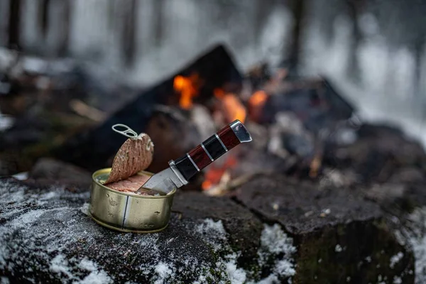 Банка консервов с охотничьим ножом на стволе дерева у огня. — стоковое фото