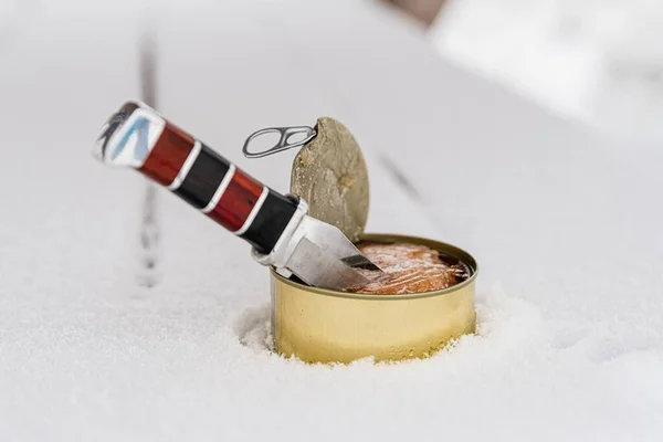 Pode de comida enlatada turística com uma faca picada. — Fotografia de Stock