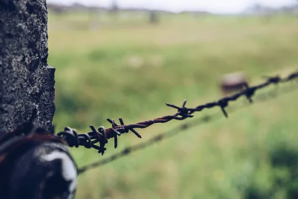 The fence of the Auschwitz concentration camp in Poland. — Stock Photo, Image