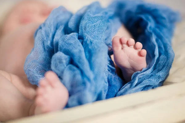 Zwei Wochen Neugeborenenfüße unter weicher Decke — Stockfoto