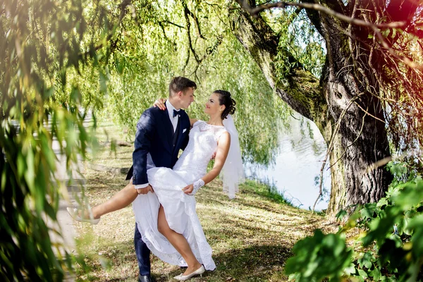 Amor entre os salgueiros chorando — Fotografia de Stock