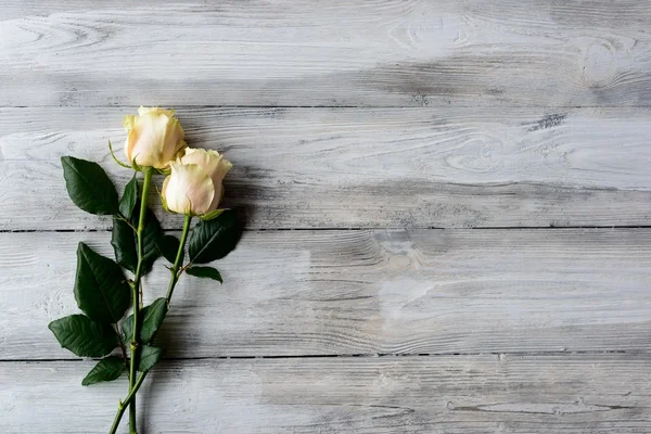 Old grey wooden floor with two flowers — Stock Photo, Image