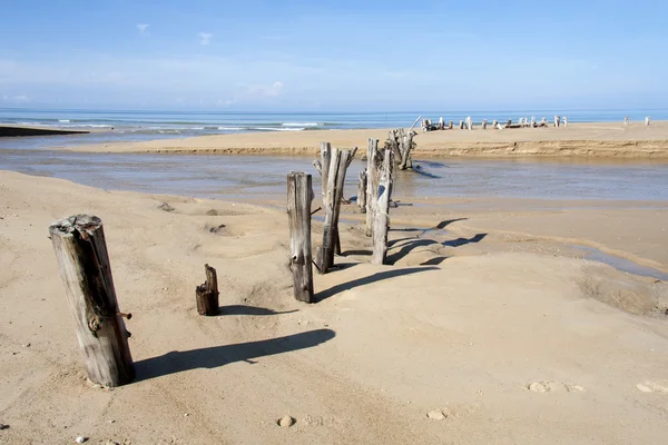 Beiträge am khuek khak beach — Stockfoto