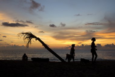 gün batımı siluet