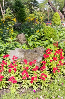 Bitki ve çiçek sınır