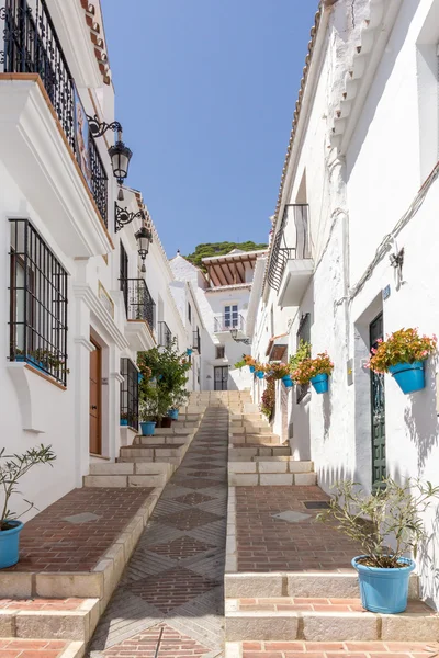 Mijas badanalı duvarları karşı mavi plantpots