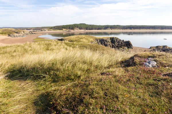 Vista sulla spiaggia di Newborough, Anglesey — Foto Stock