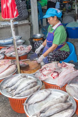 Balık satıcı Nakhon Si Thammarat