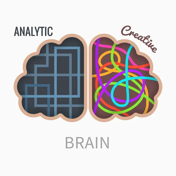 Hemisferios cerebrales — Vector de stock