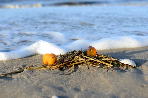 Бурштин на пляжі — стокове фото