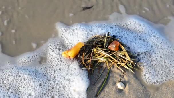 Янтарь на пляже — стоковое видео