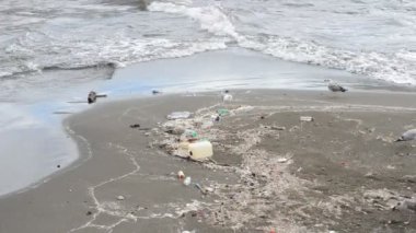 Naples beach üzerinde çöp arasında martı