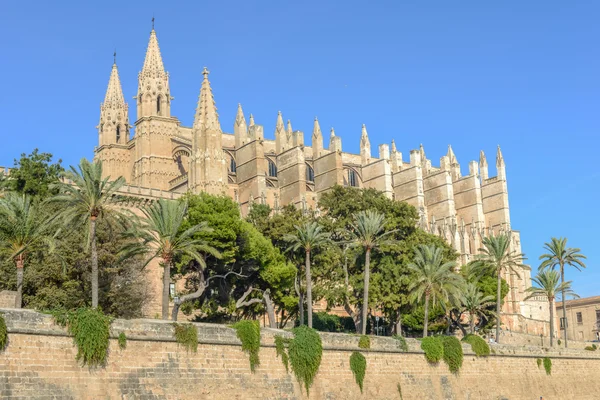 Cathedral of Santa Maria of Palma and Parc del Mar — Stock Photo, Image