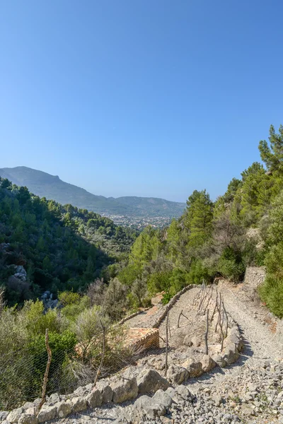 Mallorca güzel doğada yürüyüş yolu