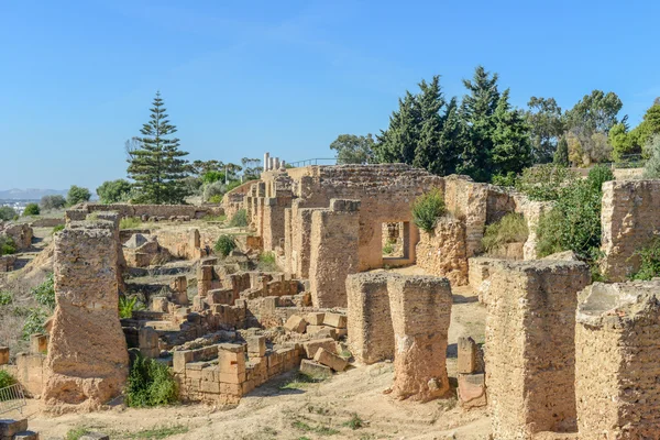 Kartaca, Tunus Antoninler Hamamı kalıntıları